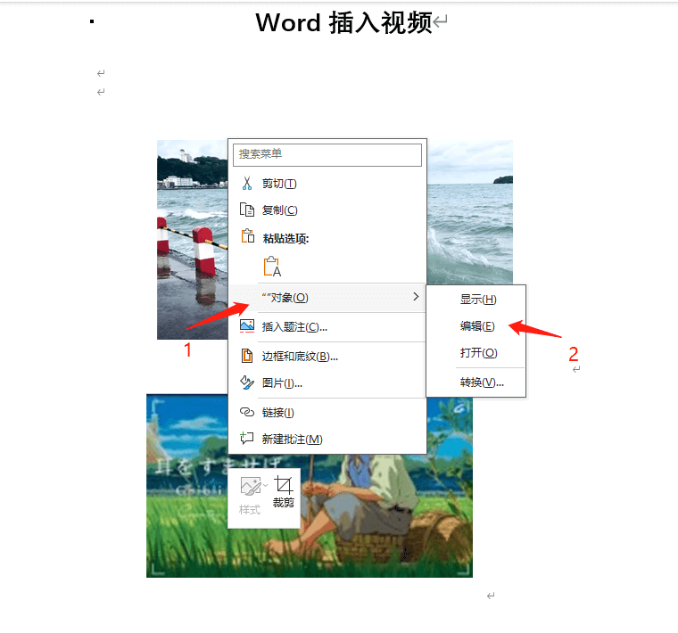 word插入视频8.png word插入视频8.png