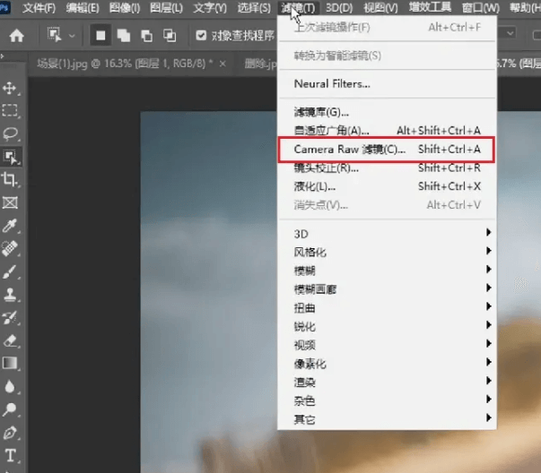 CameraRaw.png CameraRaw.png