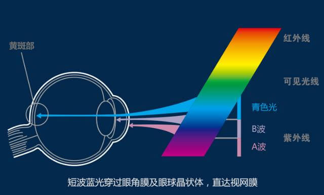蓝光危害眼镜的原因 蓝光危害眼镜的原因