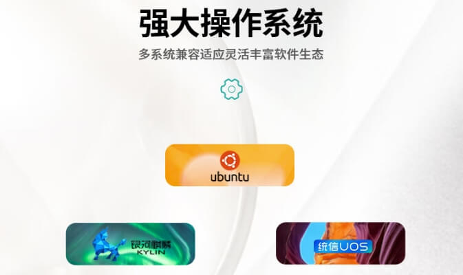 飞腾腾锐D2000支持的系统 飞腾腾锐D2000支持的系统