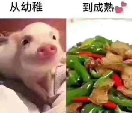 Windows11-24H2 Windows11-24H2