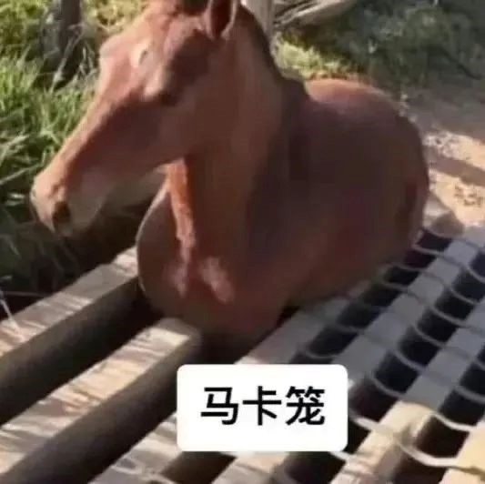 电脑花屏 电脑花屏