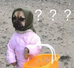 win10,11双系统-2.gif win10,11双系统-2.gif