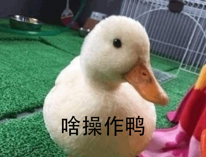 Win11-24H2 Win11-24H2