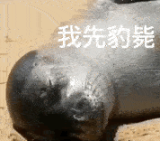 0073Cjx6ly1hbougqydjug304y04cdzj.gif 0073Cjx6ly1hbougqydjug304y04cdzj.gif