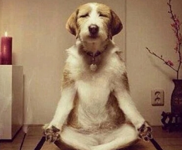 SSD售价上涨 SSD售价上涨