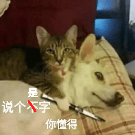 MIOS-8.png MIOS-8.png