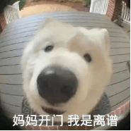 X3D-CPU-5.png X3D-CPU-5.png