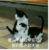 欧版Windows-3.png 欧版Windows-3.png