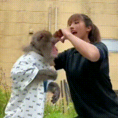 任务栏取消分组-10.jpg 任务栏取消分组-10.jpg