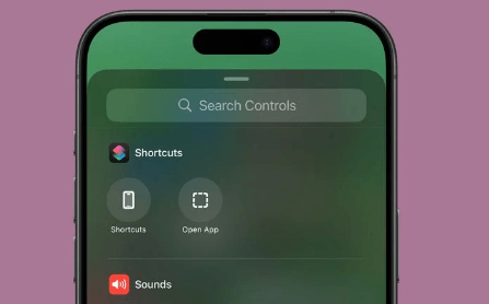 新增控件选项.png 新增控件选项.png