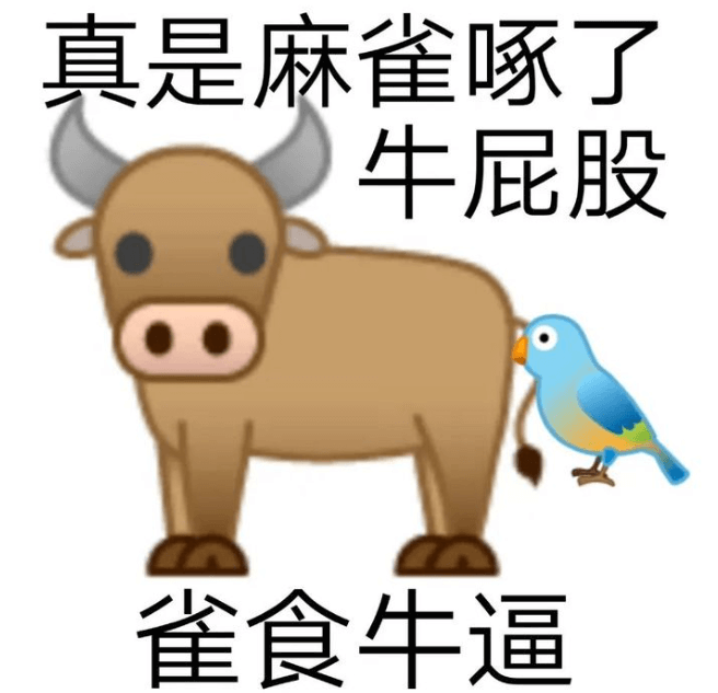 雀食牛逼.png 雀食牛逼.png