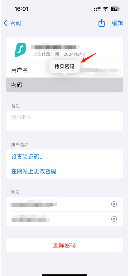 查看保存的强密码-3.png 查看保存的强密码-3.png