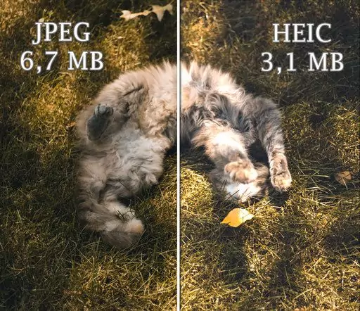 heic-vs-jpeg-compressed.png heic-vs-jpeg-compressed.png