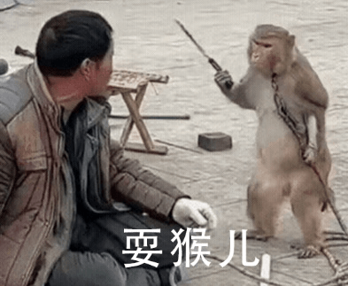 图片13.耍猴儿表情包.png 图片13.耍猴儿表情包.png