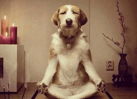 图片10.平心静气表情包.png 图片10.平心静气表情包.png