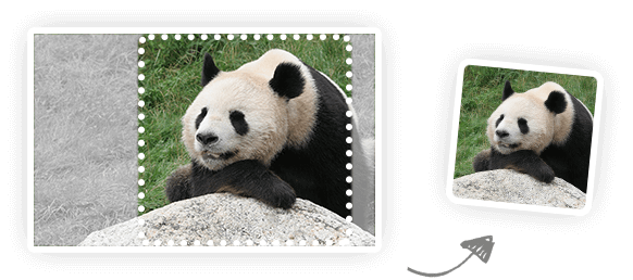 TinyPNG.png TinyPNG.png